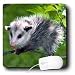 Wild animals - Opossum - Mouse Pads