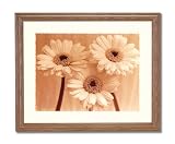 Daisies Rain B/W Photo Flower Contemporary Home Decor Wall Picture Oak Framed Art Print