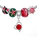 Pugster 5 Pcs Metal Murano Glass Beads Kit Dangle Red Crystal Heart European Bracelets Fits Pandora Charm Bracelet