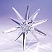 CRYSTAL WORLD Starlight