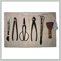 Bonsai Tree Graduate's Tool Kit