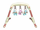 Tolo Toys Bears Music Act Gym - Past