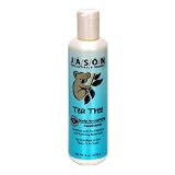 419CzQ68N1L. SL160  Tea Tree Scalp Normalizing Conditioner 8 Ounces