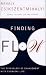 Books : Finding Flow: The Psychology of Engagement with Everyday Life