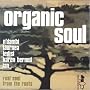 Organic Soul Vol.1: Real Soul from the Roots