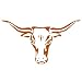 Sporting Goods : Longhorn Temporary Tattoos