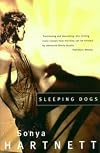 Sleeping Dogs
