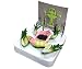 Discovery Exclusive Frog Anatomy Kit