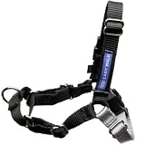 PREMIER Easy Walk Dog Harness SMALL BLACK