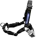 419DFB9IK4L. SL75  Buy Dogs Harness