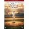 For Love of the Game: Baseball Essentials