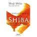 Le management selon Shiba : Capter les signaux du changement pour une performance durable