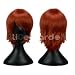 The Prince of Tennis Rozen Maiden Red Brown Short Costume Wig Costume Wigs