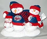 Minnesota Twins Table Top Snow Family