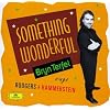 Something Wonderful - Bryn Terfel