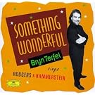 Something Wonderful - Bryn Terfel Sings Rodgers & Hammerstein