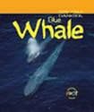 Whale