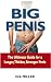 Big Penis: The Ultimate Guide for a Longer, Thicker, Stronger Penis