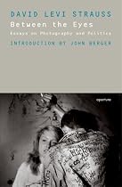 Between the Eyes: Essays on Photography and Politics