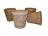 Greenhouse Collection Medium Full Pots (Set of 4)