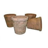 Greenhouse Collection Medium Full Pots (Set of 4) by 