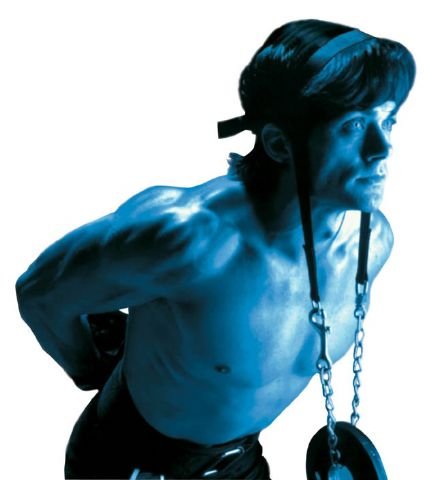 Neck Harness