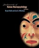 Fundamentals of Human Neuropsychology