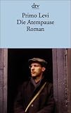 Die Atempause: Roman