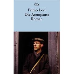 Die Atempause: Roman