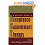 A Practical Guide to Acceptance and Commitment Therapy