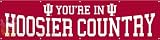 Indiana Hoosiers New 8 Ft Tailgate Banner Flag