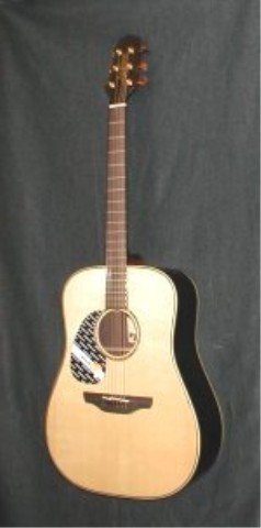 Childrens Toyshop  Musical Instruments : Takamine AN16-LH Acoustic Guitar, Left Handed with Case