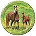 Creative Converting Wild Horses 8 Count Paper Dinner Plates