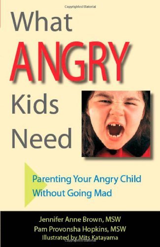 What Angry Kids Need: Parenting Your Angry Child Without Going Mad [Paperback] [2008] (Author) Jennifer Anne Brown, Pam Provonsha Hopkins, Mits Katayama