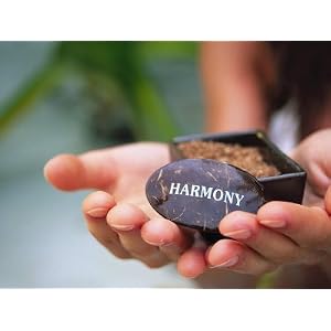 Herbal Extract Used for Oriental Massage Premium Photographic Poster Print