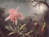 Cattleya Orchid & 3 Braz. Hummingbirds, Art Poster by Martin Johnson Heade