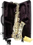 Laurel Lacquer Plated Alto Saxophone with Case - B000F1R7IM