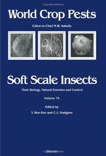Soft Scale Insects: 7A: Soft Scale Insects