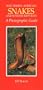 Southern African Snakes and Other Reptiles