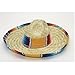 Jacobson Hat Company Men's Sombrero with Serape Band, Multicolor, Child