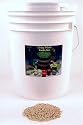Organic Barley Seeds - 30 Lbs - Unhulled Barleygrass Seed - Ornamental Barley Grass, Barley Grass for Juicing - Grain for Beer Making, Emergency Food Storage & More.