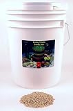 Review Living Whole Foods  / 30 Lbs. Barley - Certified Organic - 30 Lb Nitrogen Packed Re-sealable Bucket - Barley Grain Seeds for Sprouting, Planting, Ornamental Grass, Growing & Juicing Barley Grass for Barleygrass Juice, Beer Making, Food Storage, Hydroponics, Grinding for Bread Flour & More. Long Shelf Life Seed.