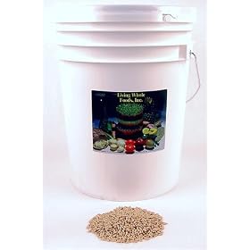 Organic Barley Seeds - 30 Lbs - Unhulled Barleygrass Seed - Ornamental Barley Grass, Barley Grass for Juicing - Grain for Beer Making, Emergency Food Storage & More.