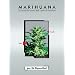 Marihuana en Interior: El Sencillo Arte del Cultivo (Spanish Language Edition) (Spanish Edition)