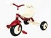 Classic Flyer by KETTLER Euro Tricycle