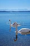 IMAGE OF Wallmonkeys Peel and Stick Wall Decals - Starnberger See - 60