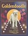 Goldendoodle (Designer Dog)