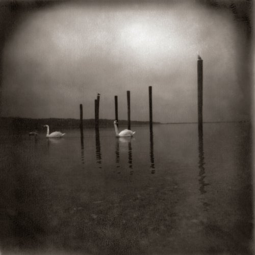 Om - At Giza Lyrics - Zortam Music