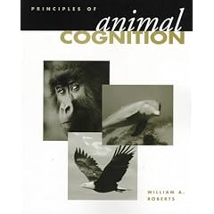 Principles of Animal Cognition