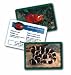 Search : Animal Classifying Cards Combo Pack
